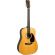 Martin D28GE